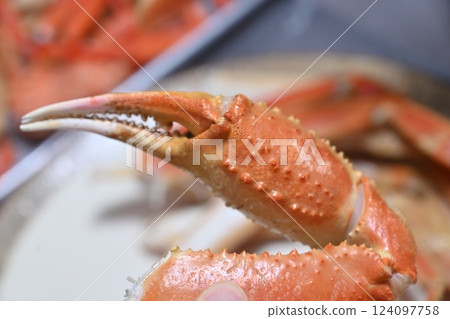 Korean seafood dish. Steamed Korean Kingcrab Korean seafood dish. Steamed Korean Kingcrab 124097758