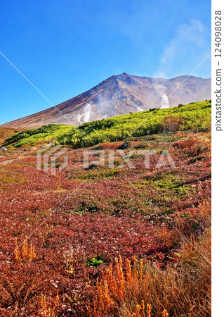 Autumn in the Daisetsu Mountain Range: Mount Asahi 124098028