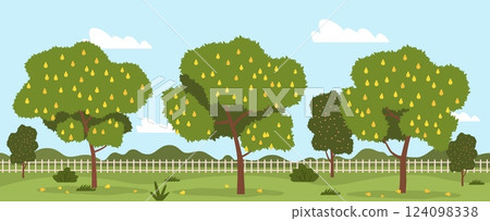 Orchard with pear trees and ripe pears. Fruit plant in garden. Agricultural landscape, summer season. Botanical green background. Natural background. Cartoon flat isolated vector concept Orchard with pear trees and ripe pears. Fruit plant in garden. Agricultural landscape, summer season. Botanical green background. Natural background. Cartoon flat isolated vector concept 124098338