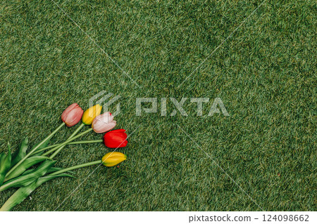 multicolored tulips arranged on lush green grass 124098662