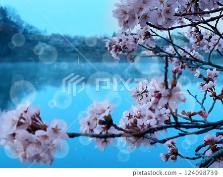 Pond and cherry blossoms in full bloom Pond and cherry blossoms in full bloom 124098739