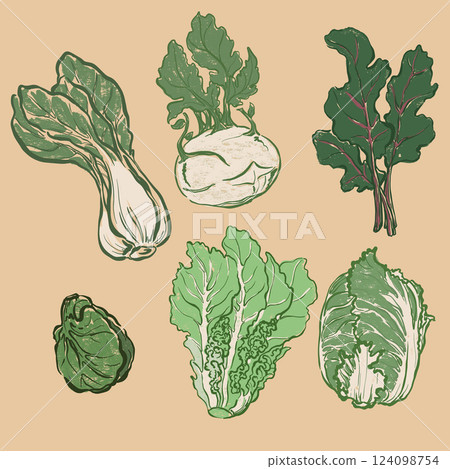 Vector vegetable doodle set of lettuce, cabbage, greenery and herbs. Hand-drawn garden harvest sketch with vintage texture. Tasty food for design, veggie market drawing print or background. Vector vegetable doodle set of lettuce, cabbage, greenery and herbs. Hand-drawn garden harvest sketch with vintage texture. Tasty food for design, veggie market drawing print or background. 124098754
