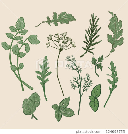 Vector vegetable doodle set of dill, parsley, basil, rosemary, greenery, herbs. Hand-drawn garden harvest sketch with vintage texture. Tasty food for design, veggie market drawing print or background. Vector vegetable doodle set of dill, parsley, basil, rosemary, greenery, herbs. Hand-drawn garden harvest sketch with vintage texture. Tasty food for design, veggie market drawing print or background. 124098755