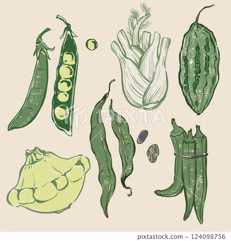 Vector vegetable doodle set of pattypan squash, okra, peas, beans and fennel. Hand-drawn garden harvest sketch with vintage texture. Tasty food for design, veggie market drawing print or background. 124098756