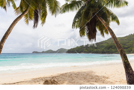 Serene tropical beach with sandy shores, lush greenery and swaying palms 124098839