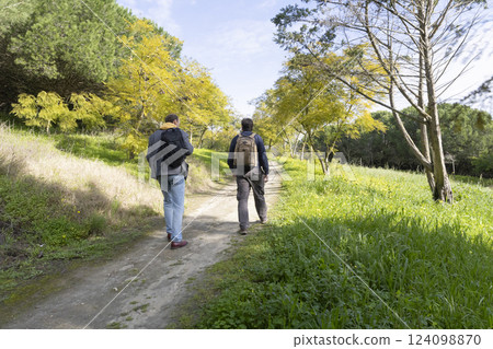 Tourists walking on path between trees in park during sunny day 124098870