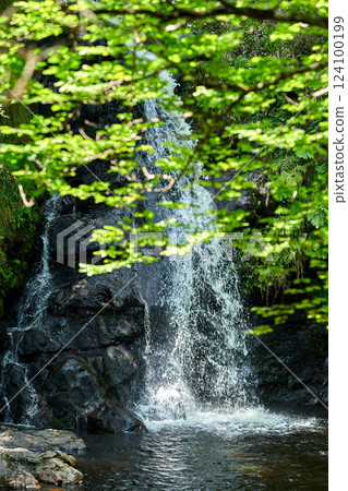 forest Waterfall in west of Ieland forest Waterfall in west of Ieland 124100199