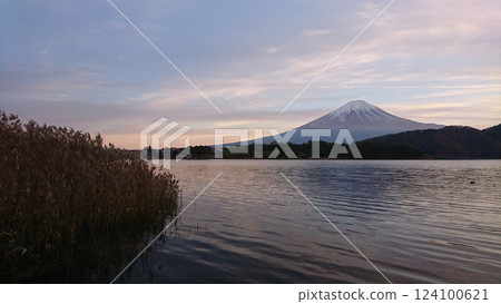 前景中，湖面上生長著芒草，從水面附近望去，富士山被黃昏的色彩染成了粉紅色，天空中漂浮著山脈和雲彩的輪廓。 124100621