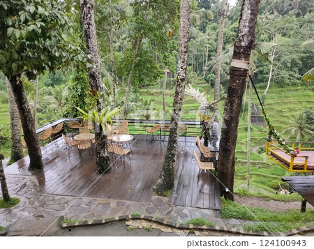 swing at Ceking Rice Terrace or Tegalalang Rice Terrace, Ubud, Bali at Indonesia swing at Ceking Rice Terrace or Tegalalang Rice Terrace, Ubud, Bali at Indonesia 124100943