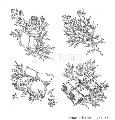 Wormwood plant and bottle of oil, essential aroma sachet, soap engraved sketch vector set, hand drawn Artemisia products 124101390