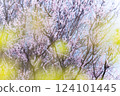 櫻花與油菜花間的美景 124101445