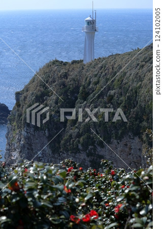 Cape Ashizuri Lighthouse, Camellia Blooming Season (Tosashimizu City, Kochi Prefecture) Cape Ashizuri Lighthouse, Camellia Blooming Season (Tosashimizu City, Kochi Prefecture) 124102005