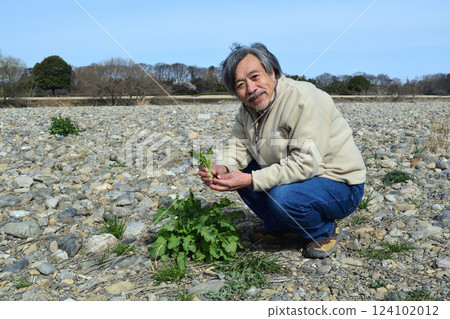 An old man picking mustard shoots on the riverbank 124102012