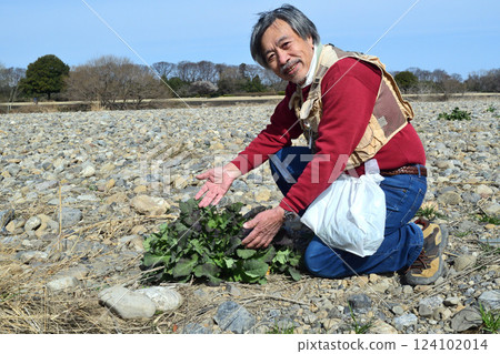 An old man picking mustard shoots on the riverbank An old man picking mustard shoots on the riverbank 124102014