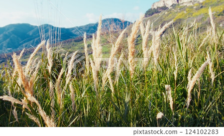 Plants Move In The Wind During Prayers Near Nature In The Field In Spring 124102283