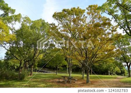 Autumn park Autumn park 124102783