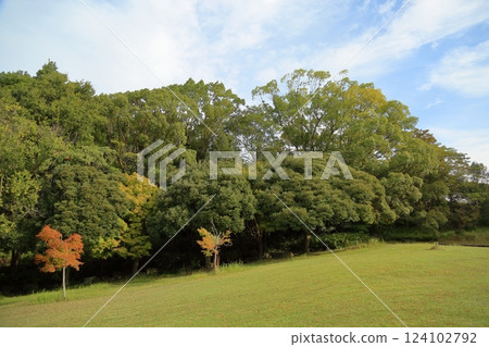 Autumn park 124102792