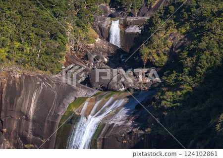 Roaring and magnificent, Chihiro Falls, the Alps of the Sea, Yakushima (winter) Roaring and magnificent, Chihiro Falls, the Alps of the Sea, Yakushima (winter) 124102861
