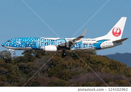JAL737-800 福岡天空航空 124102962