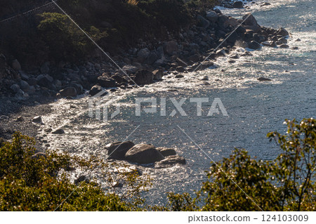 The sea in the western forest road area, Yakushima Island in the offshore Alps (winter) The sea in the western forest road area, Yakushima Island in the offshore Alps (winter) 124103009