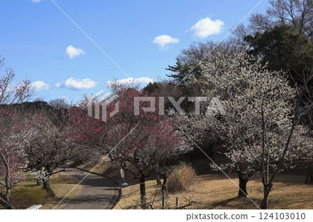 Odaka Green Park, Plum Grove Park Odaka Green Park, Plum Grove Park 124103010