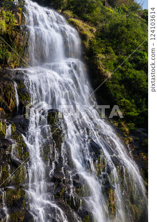 屋久島近海阿爾卑斯山的壯麗景色（2 月）大川瀑布，日本百大瀑布之一 124103614