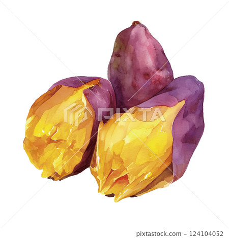 紅薯的水彩插圖 124104052