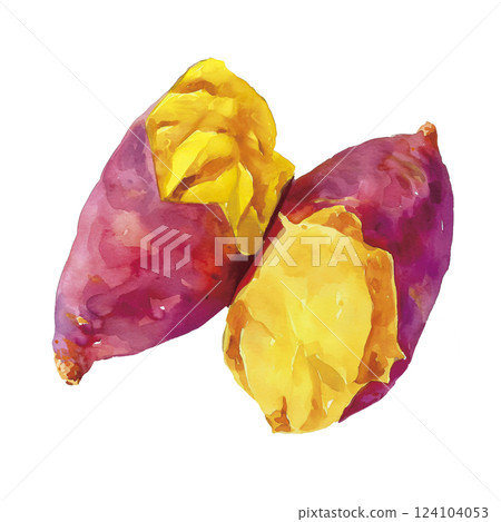 紅薯的水彩插圖 124104053