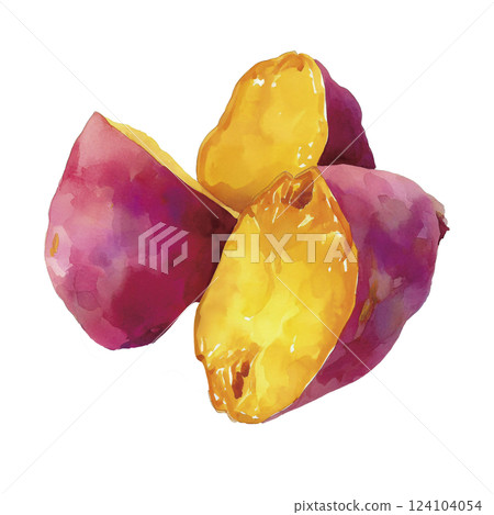 紅薯的水彩插圖 紅薯的水彩插圖 124104054