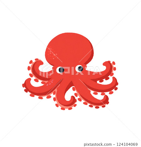 Octopus 124104069