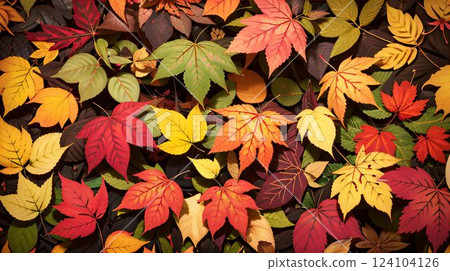 A carpet of autumn leaves with vibrant autumn colors 124104126