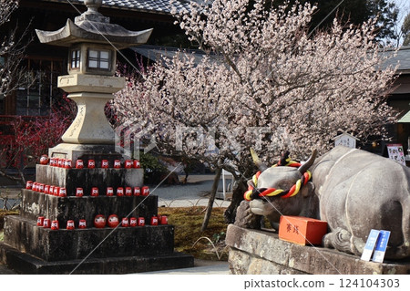 岩津天滿宮、梅花園 124104303