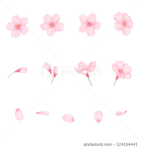 寫實的水彩櫻花插畫 124104441