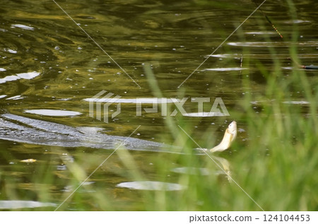 Herahuna fishing Herahuna fishing 124104453