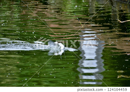 Herahuna釣魚 124104459