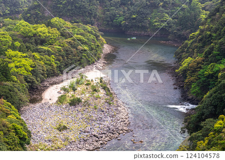 屋久島阿爾卑斯山脈安房川溪谷的新綠 124104578