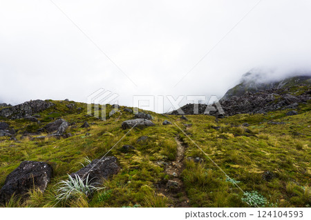 紐西蘭陰天的山景 124104593