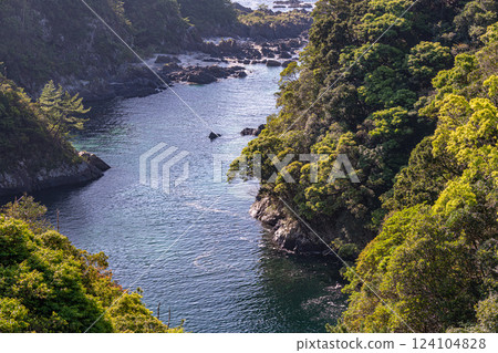 Yakushima, the island where the gods reside: The Taino River estuary, illuminated by the morning sun and fresh greenery 124104828
