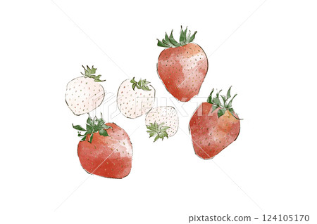 水彩畫草莓的插圖 124105170