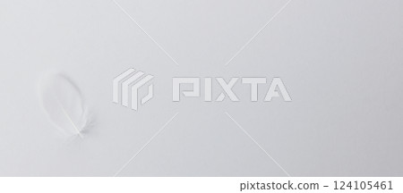 White background_white feather White background_white feather 124105461