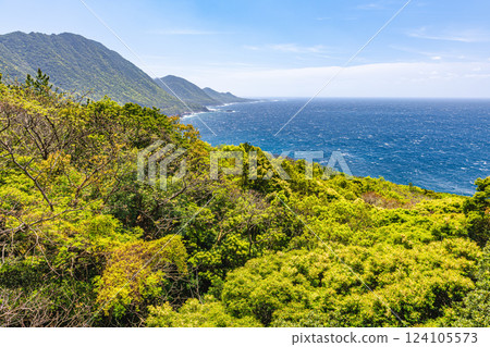 世界自然遺產屋久島被西林道地區的新綠點亮 世界自然遺產屋久島被西林道地區的新綠點亮 124105573