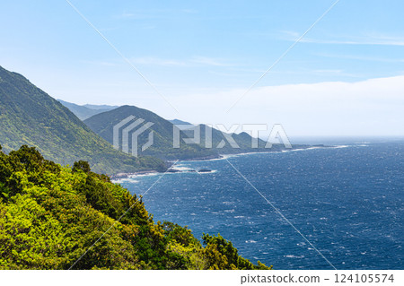Yakushima, a World Natural Heritage Site, is lit up by the fresh greenery of the Western Forest Road area 124105574