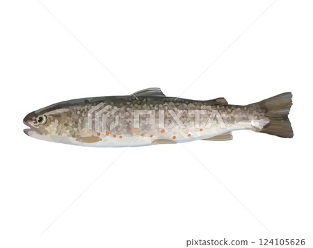 River fish (char) 124105626