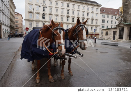 City of Vienna 124105711