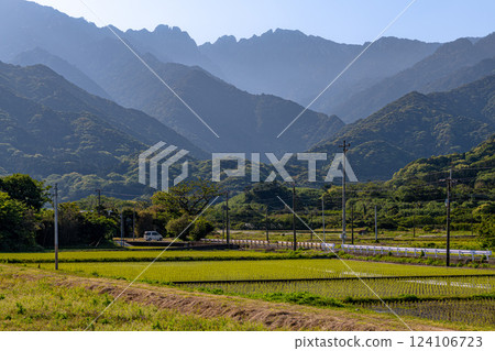 Spectacular views of the Yakushima World Natural Heritage Site (April) Rice fields and the guardian deity Mount Nagata 124106723