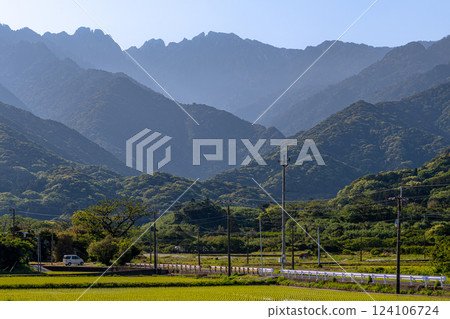 Guardian deity Mount Nagata, World Natural Heritage Site, Yakushima (Spring) 124106724