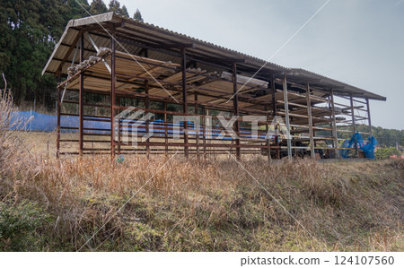 Empty onion shed before harvest on Awaji Island, Hyogo Prefecture 124107560