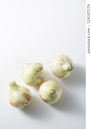 新洋蔥 124107574
