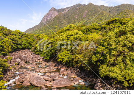 Spring scenery of Mt. Mochomu and Taino River, a World Natural Heritage site on Yakushima Island 124107911
