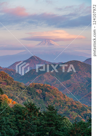 【靜岡縣】秋季的沼津阿爾卑斯山與雲霧繚繞的富士山 【靜岡縣】秋季的沼津阿爾卑斯山與雲霧繚繞的富士山 124107972